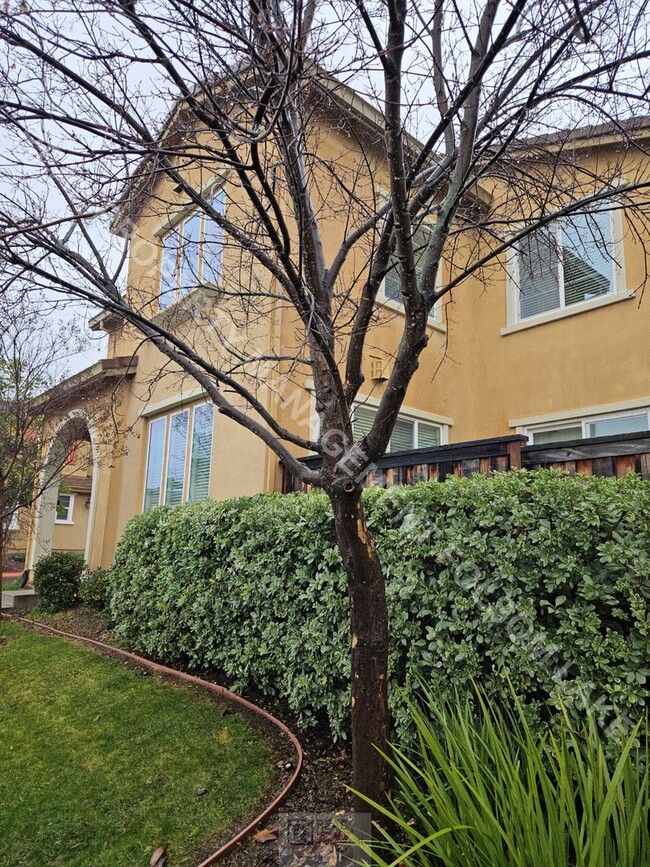 848 Blossom Rock Ln in Folsom, CA - Foto de edificio - Building Photo