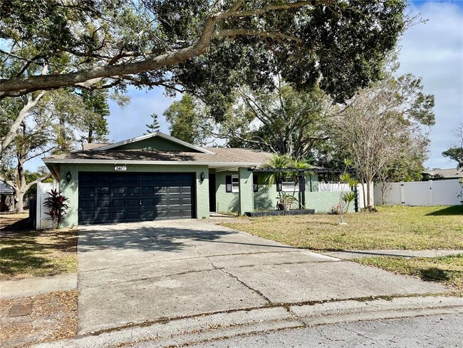 2407 Hazelwood Ln in Clearwater, FL - Building Photo - Building Photo