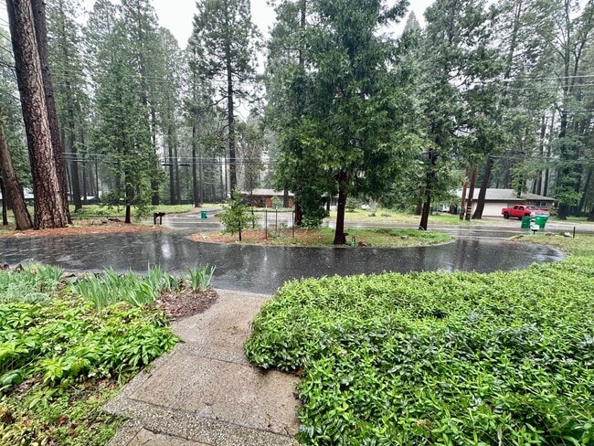 12725 Banner Lava Cap Rd in Nevada City, CA - Building Photo - Building Photo