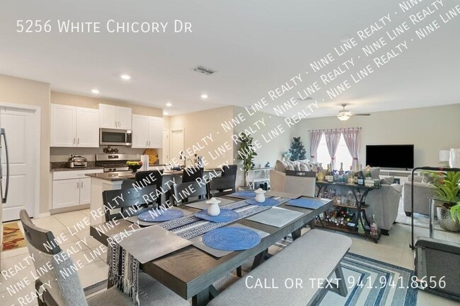 5256 White Chicory Dr in Apollo Beach, FL - Building Photo - Building Photo