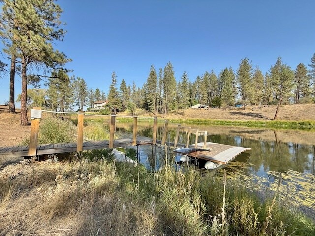 15206 S Clear Lake Rd in Cheney, WA - Building Photo - Building Photo