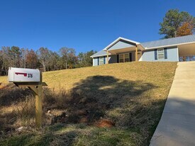 376 Silver Run Rd in Munford, AL - Building Photo