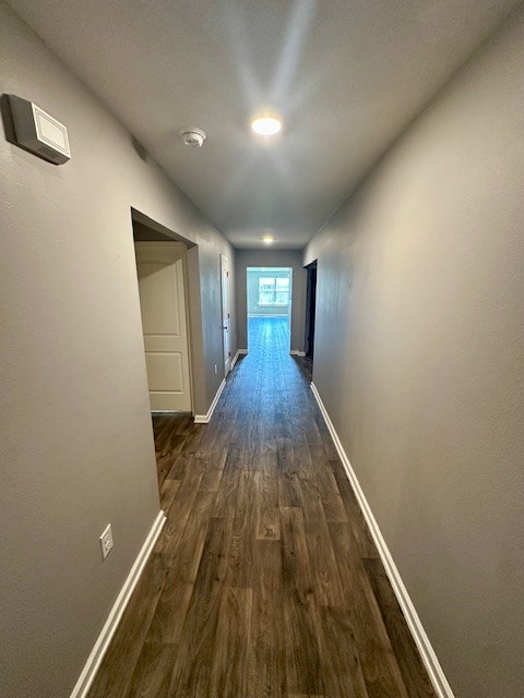 883 Moorhen Wy in Crestview, FL - Building Photo - Building Photo