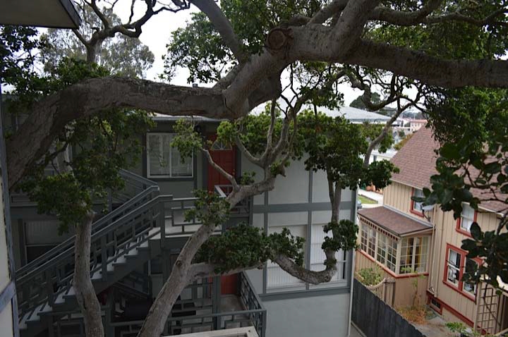 426 Lighthouse Ave in Pacific Grove, CA - Foto de edificio