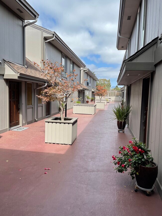 2106 Otis Dr Rentals in Alameda, CA
