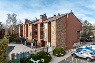 Telluride Condominiums Apartments