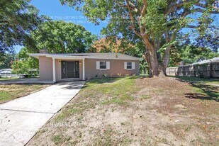 1333 Pleasantview Dr in Apopka, FL - Building Photo