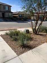 6567 E Via Arroyo Azul in Tucson, AZ - Building Photo - Building Photo