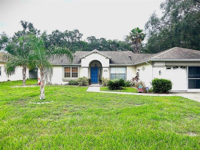 8116 Rhanbuoy Rd in Spring Hill, FL - Building Photo - Building Photo
