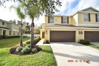 20210 Pond Apple Ln in Tampa, FL - Building Photo - Building Photo