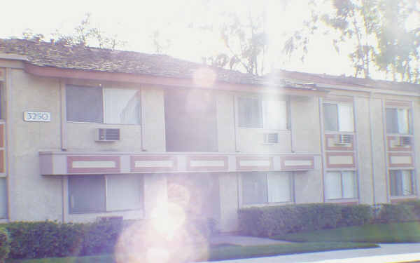 Las Colinas Apartments in Riverside, CA - Building Photo - Building Photo