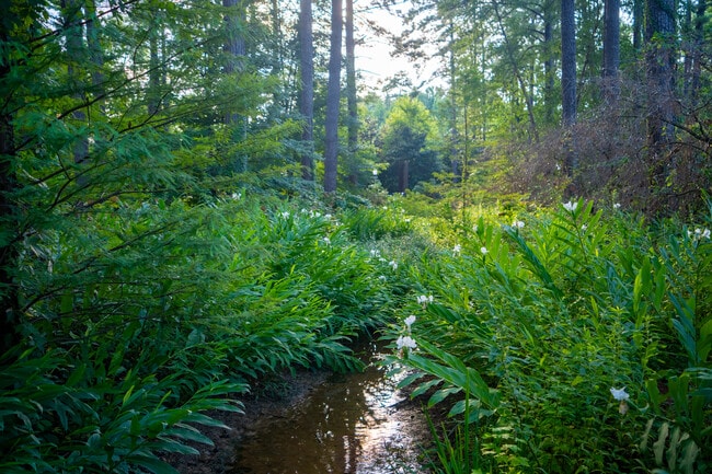 Apartamentos Alquiler en Hoover, AL