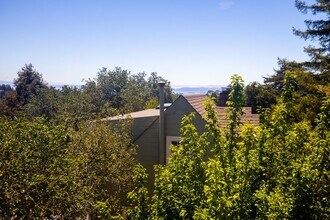 11031 Broadway Terrace in Oakland, CA - Building Photo - Building Photo