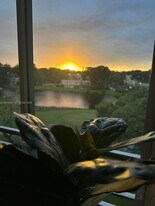 1811 Sabal Palm Dr in Davie, FL - Building Photo