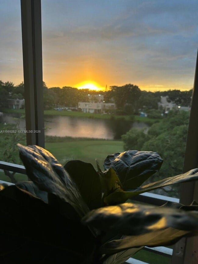 property at 1811 Sabal Palm Dr