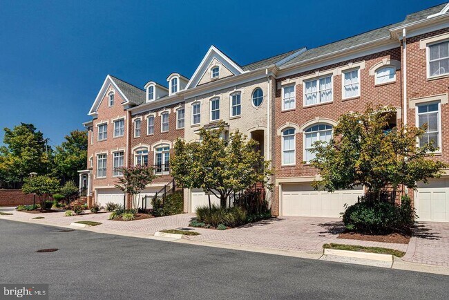 7008 Eastern Red Cedar Ln in McLean, VA - Building Photo - Building Photo
