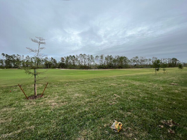 3919 Crosswater Dr in North Fort Myers, FL - Building Photo - Building Photo