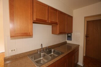 513 W Briar Pl in Chicago, IL - Building Photo - Building Photo