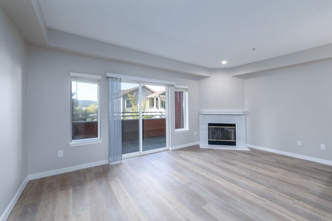 Park Vista Apartments