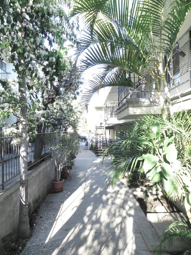 1020 6th St in Santa Monica, CA - Building Photo - Building Photo