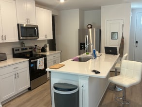 7528 Mia Vine Dr in Brooksville, FL - Building Photo - Building Photo