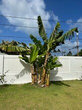 640 Auwai St in Kailua, HI - Building Photo - Building Photo