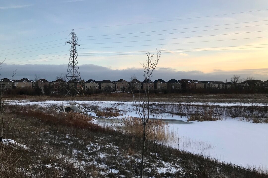 Trend Living Phase 1 in Waterdown, ON - Building Photo