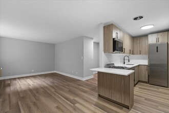 541 W Oakdale Ave in Chicago, IL - Building Photo - Building Photo