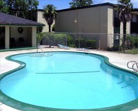 Pool - Villa Regia Apartamentos in Sacramento, California