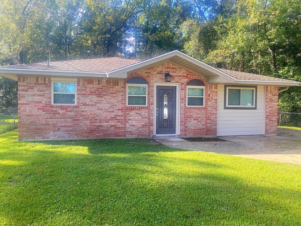 310 Roselawn St in Vidor, TX - Building Photo