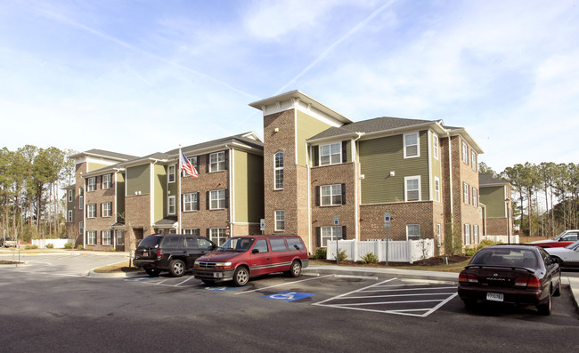 The Preserve at Collins Park Apartments in Goose Creek, SC - Building Photo - Building Photo