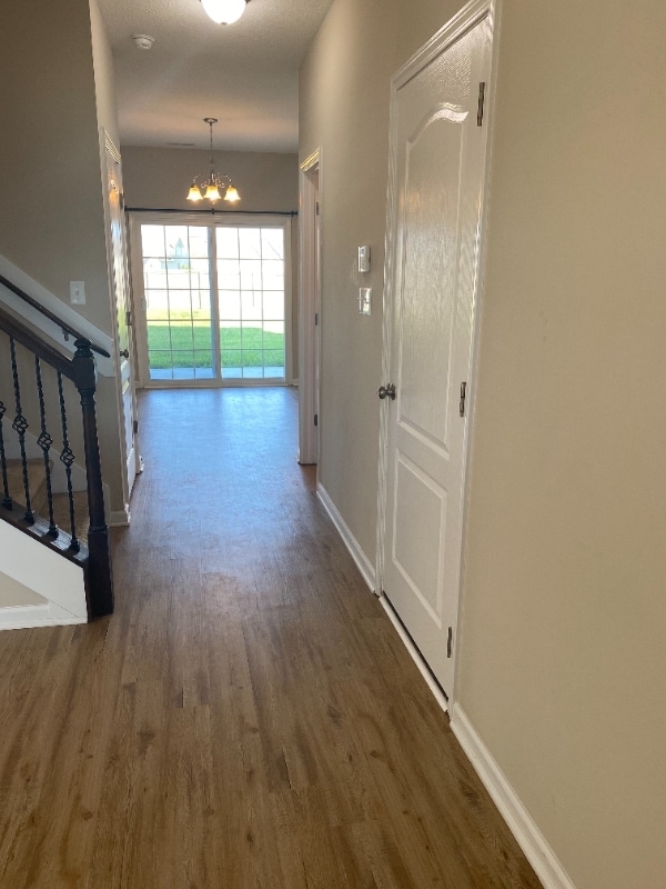 131 Cavalier Dr in Jacksonville, NC - Foto de edificio - Building Photo