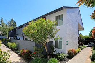 The Meridian in Walnut Creek, CA - Building Photo - Building Photo