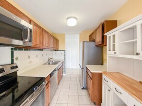901 S Plymouth Ct in Chicago, IL - Building Photo - Building Photo