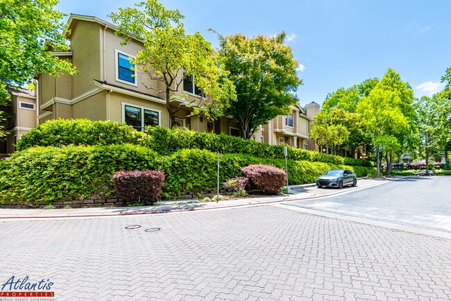 property at 982 La Mesa Terrace