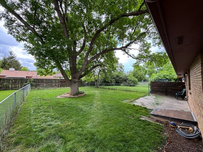 3419 Butternut Dr in Loveland, CO - Building Photo - Building Photo