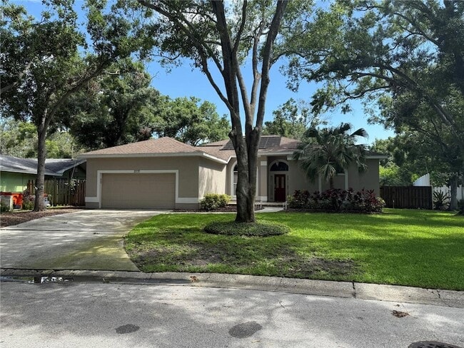 2806 Spinning Silk Ct