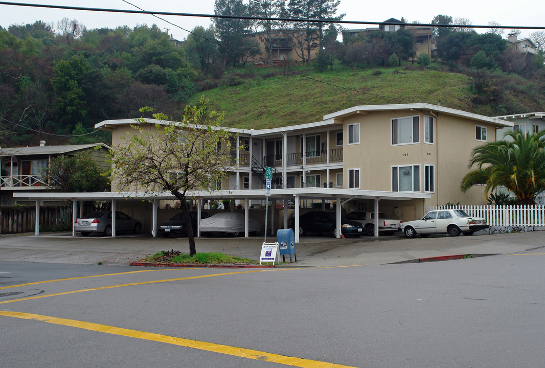 101 Woodland Ave in San Rafael, CA - Building Photo