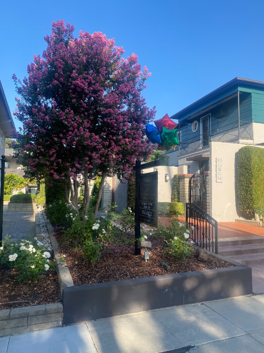 271 S El Molino Ave in Pasadena, CA - Building Photo