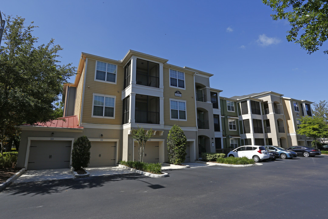 Lantower Cypress Creek in Lutz, FL - Building Photo