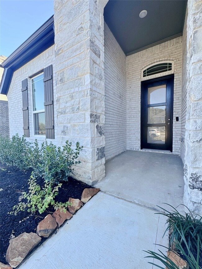 24539 Greeley Lake Dr in Katy, TX - Building Photo - Building Photo