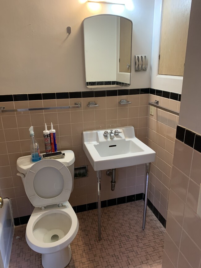1005 S Brooks St, Unit 3 in Madison, WI - Building Photo - Building Photo