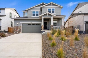 4322 Fellows Dr in Timnath, CO - Building Photo