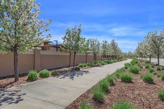 Villas at North Village in Vacaville, CA - Foto de edificio - Building Photo