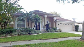 3603 Cypress Meadows Rd in Tampa, FL - Building Photo