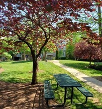 3953 Picasso Court in Charlotte, NC - Building Photo - Building Photo