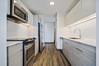 463 E Ohio St in Chicago, IL - Building Photo - Building Photo