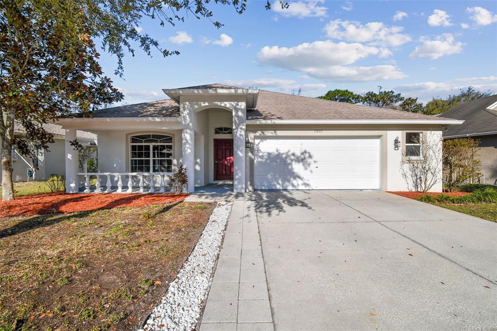 15807 Leatherleaf Ln in Land O Lakes, FL - Building Photo
