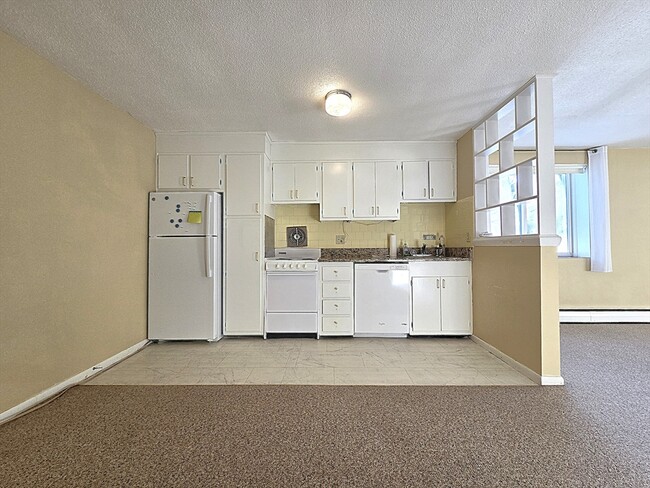 50 Green St, Unit 316 in Brookline, MA - Building Photo - Building Photo