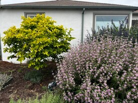 2727 Gaynor Ave in Richmond, CA - Building Photo